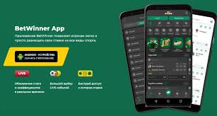 Play Aviator at BetWinner Your Ultimate Guide